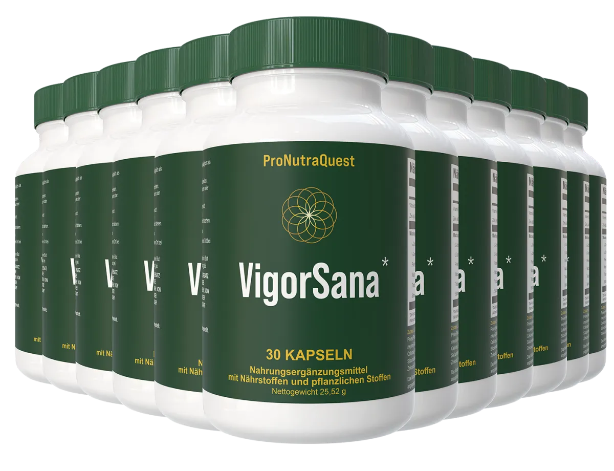 VigorSana 12 bottle package